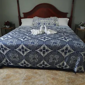 Destiny Palms Belleair